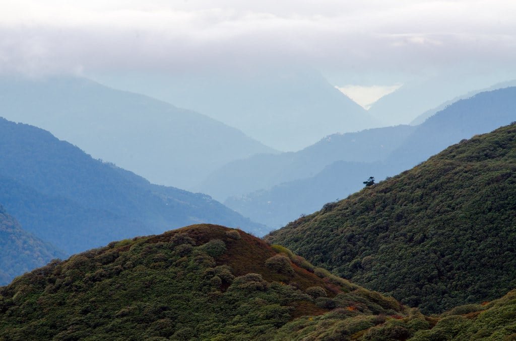 the forest mountains of warwan valley