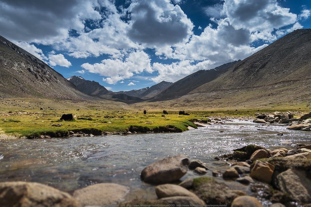 Nubra Valley