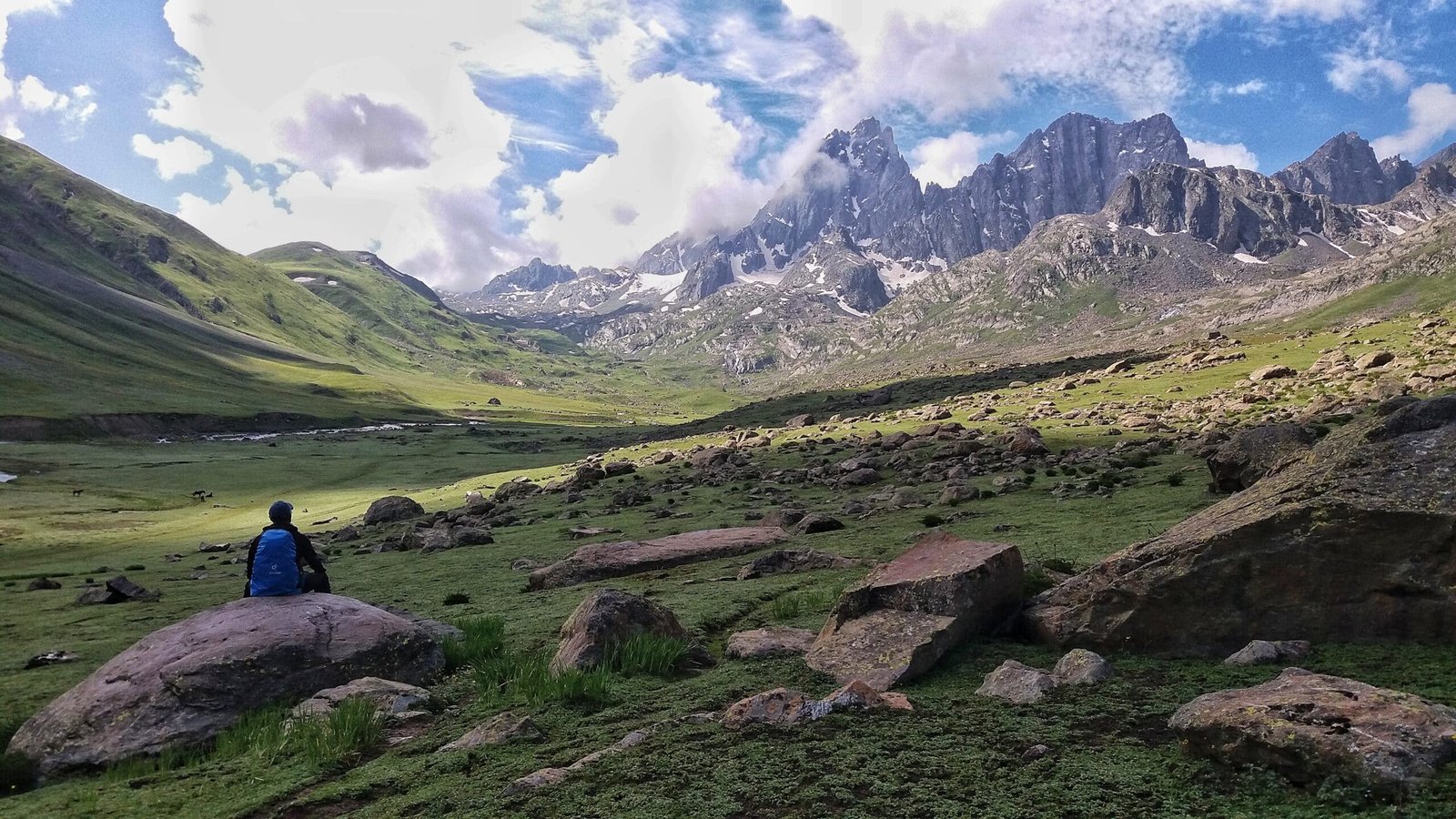 a trekker in the middle of the meadow of Kashmir Great Lakes trek in August