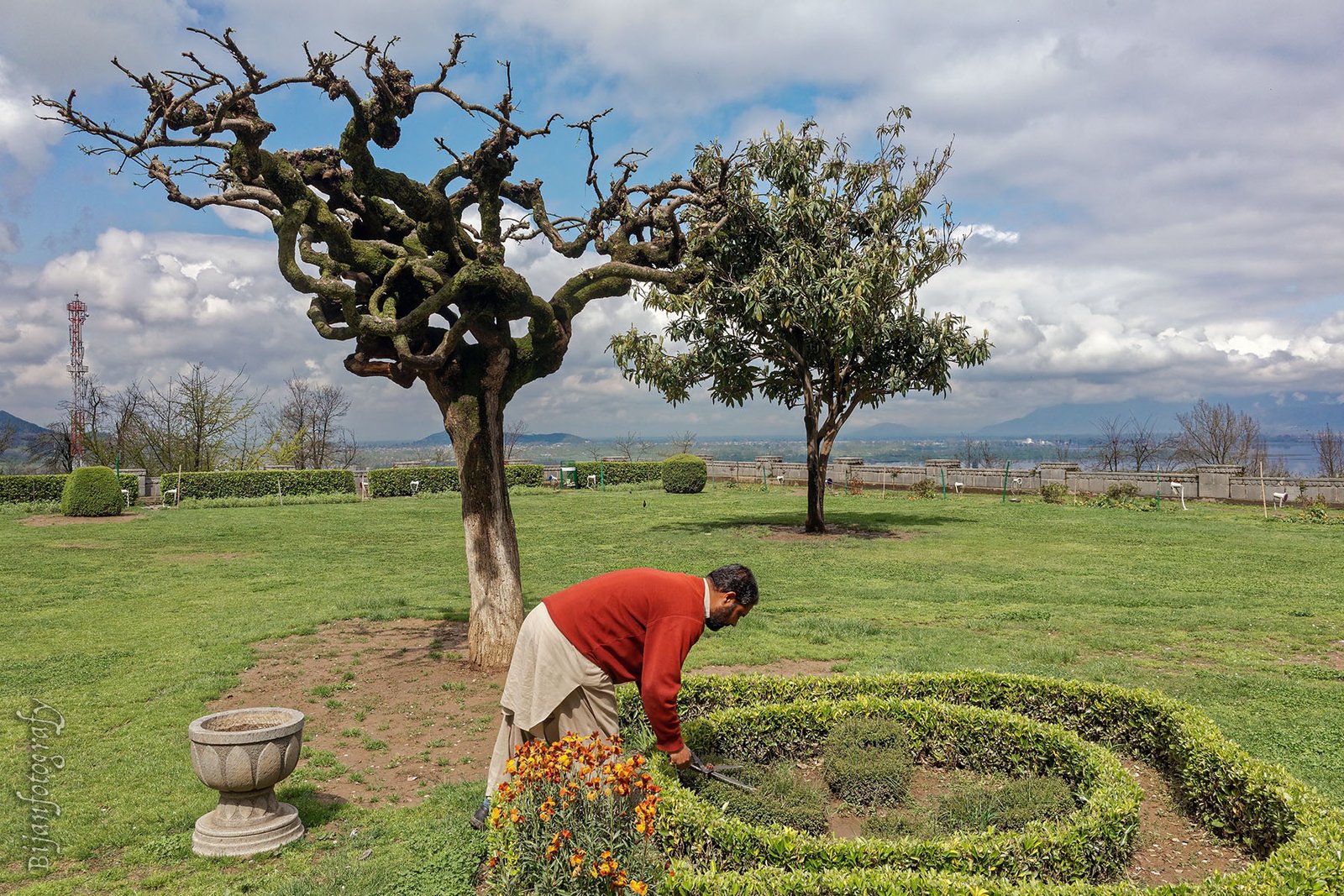 Gardener trimming hedges in Chashma Shahi Garden