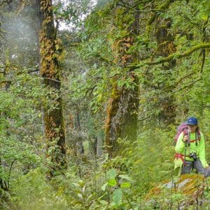 Dayara Bugyal Trek