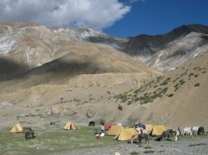 Rumtse to Tso Moriri Trek