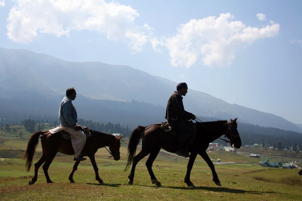 Pony Riding In Kashmir