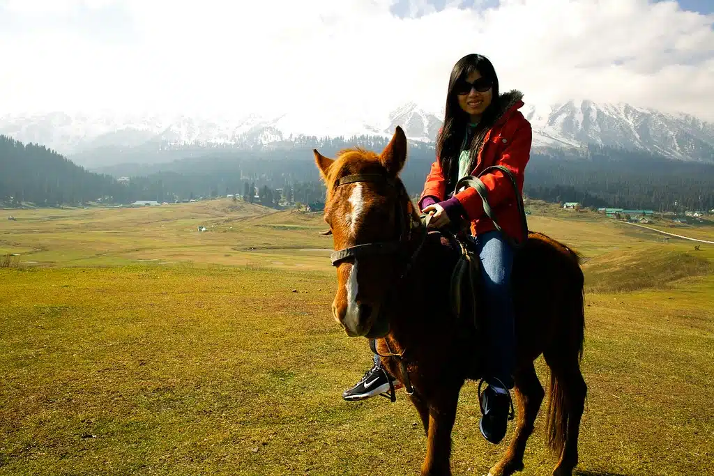 Pony Riding In Kashmir