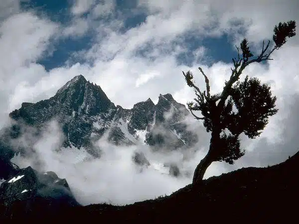 Kolahoi Glacier Trek