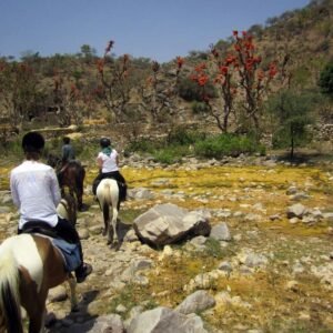 Experience Horse riding