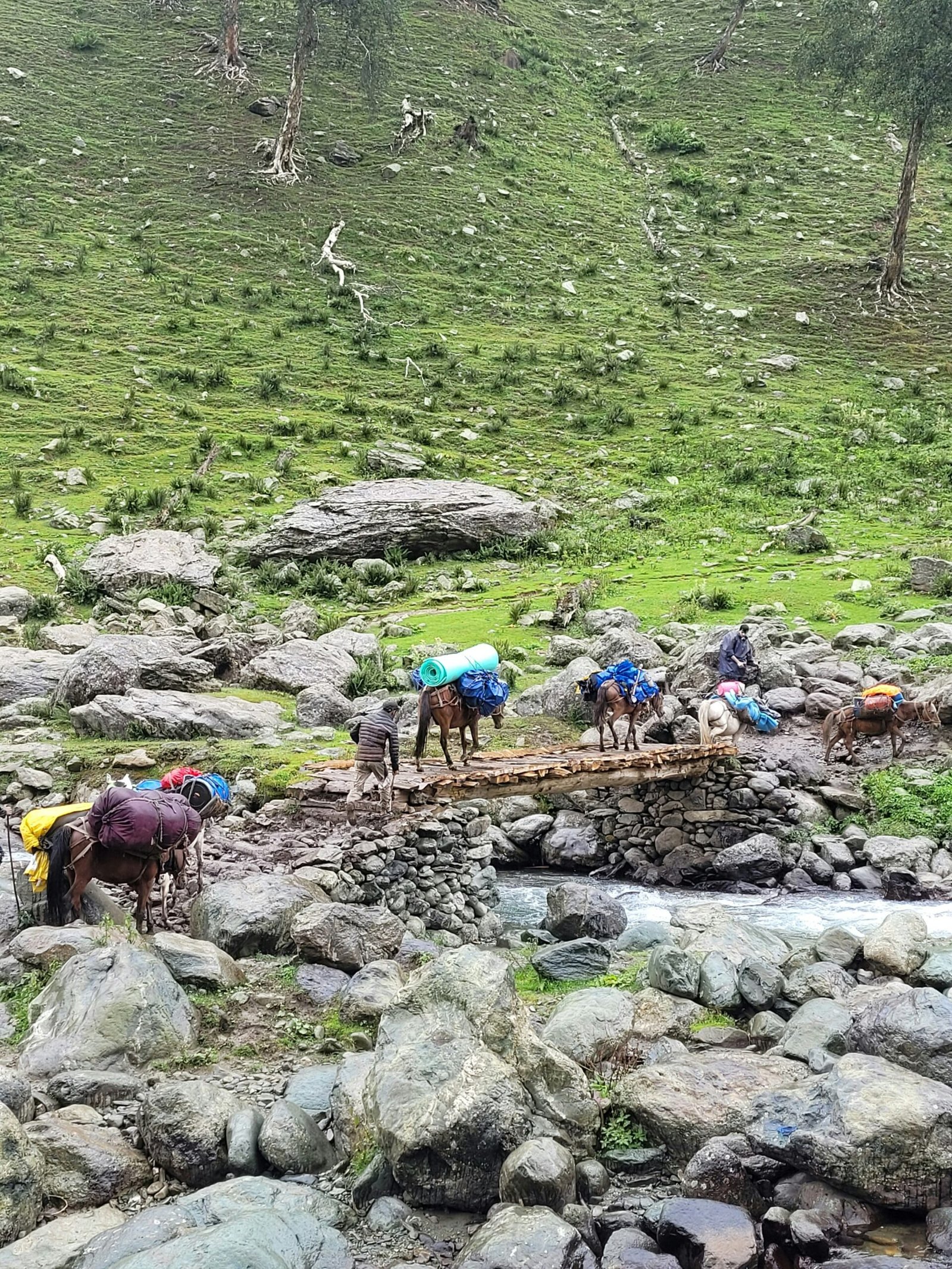 Kashmir Great Lakes Trek