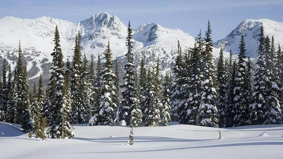 Gulmarg in March