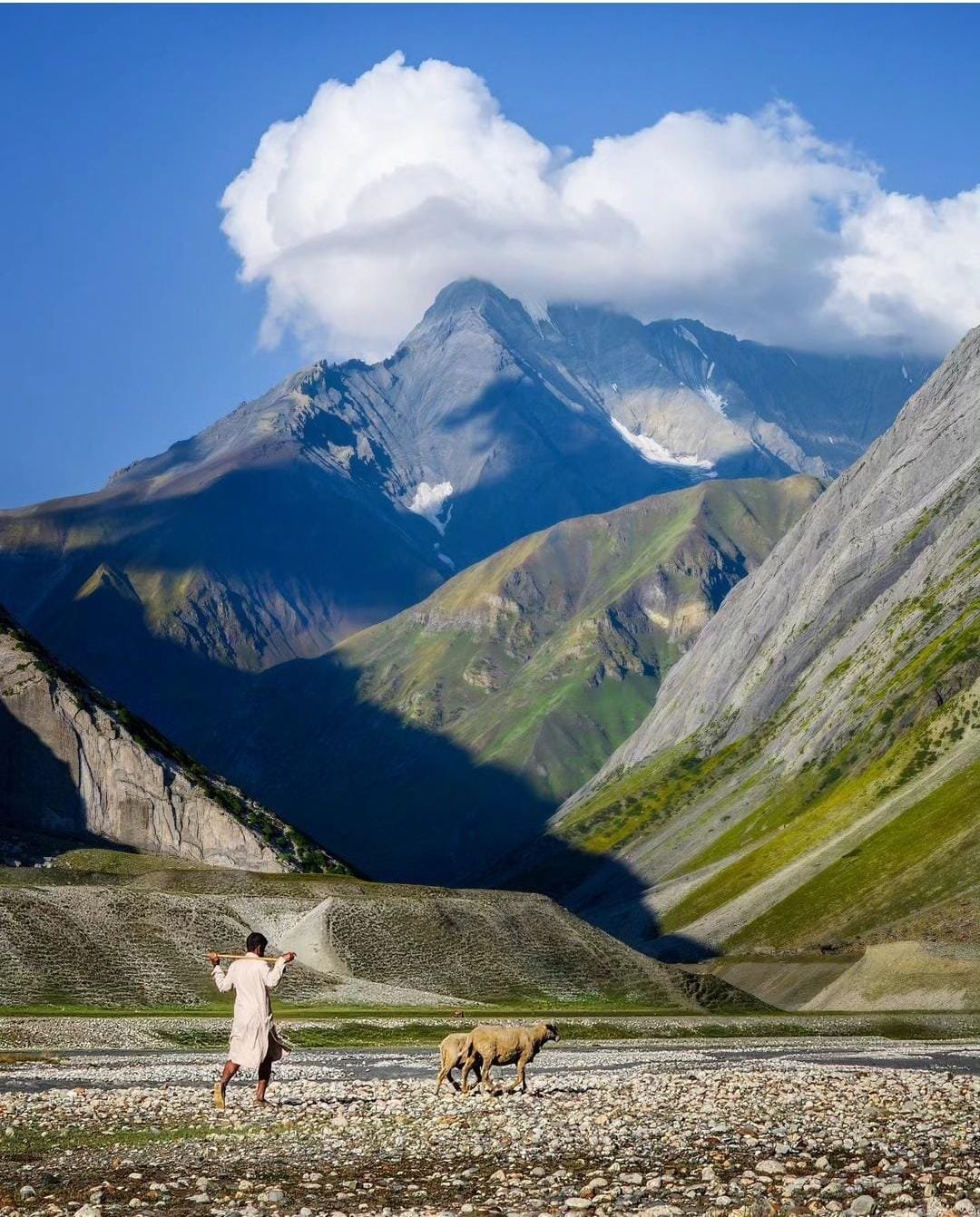 a shepherd waling in the meadows of warwan valley