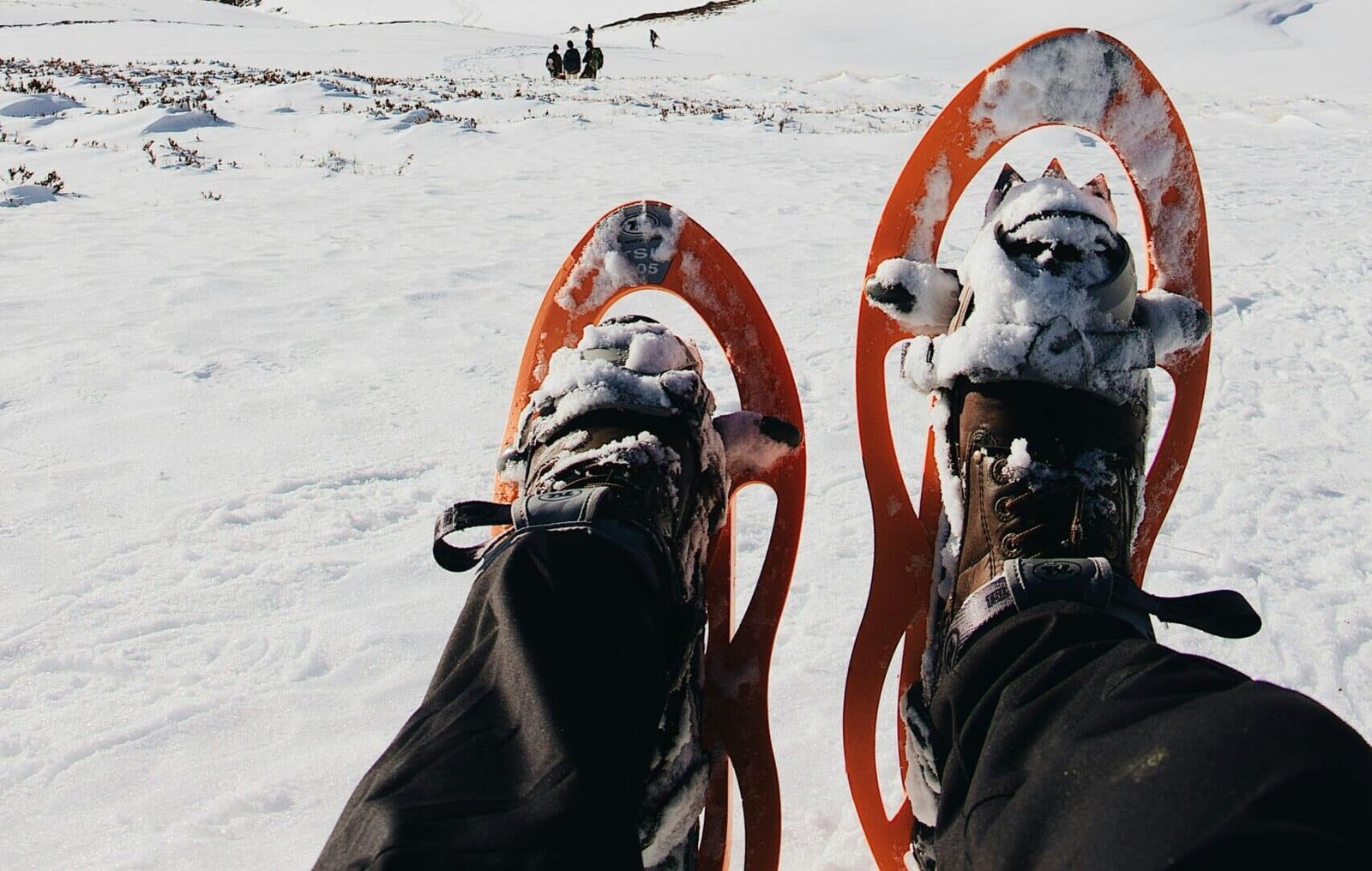 Snowshoeing In Gulmarg