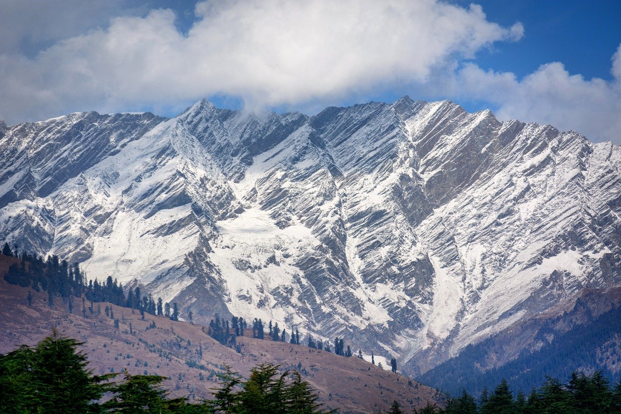 Snowy mountains and pine trees in Manali under a cloudy sky
