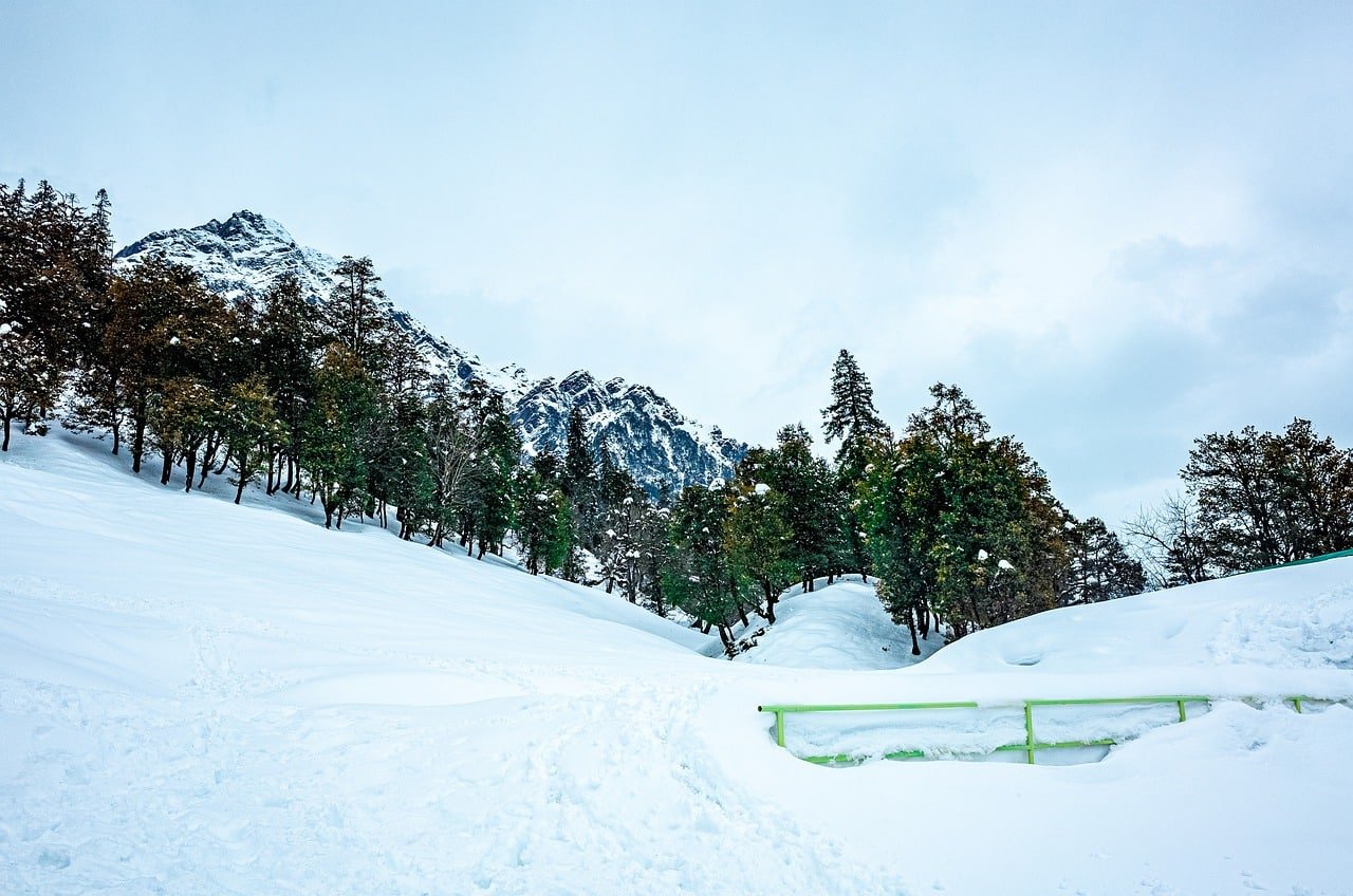 Snow-covered landscape with trees and mountains near the Beas River in Manali