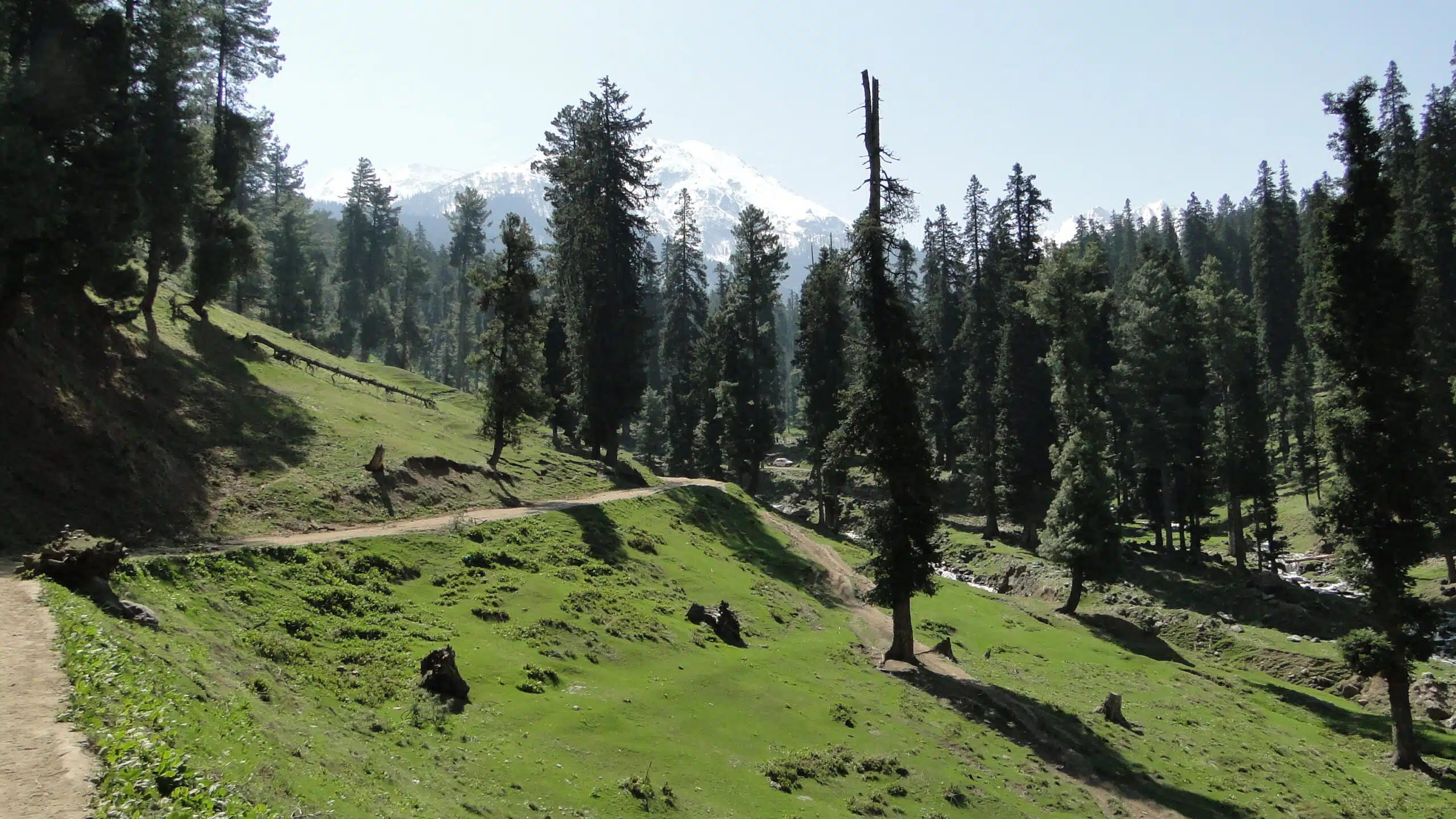 Baisaran Valley Pahalgam