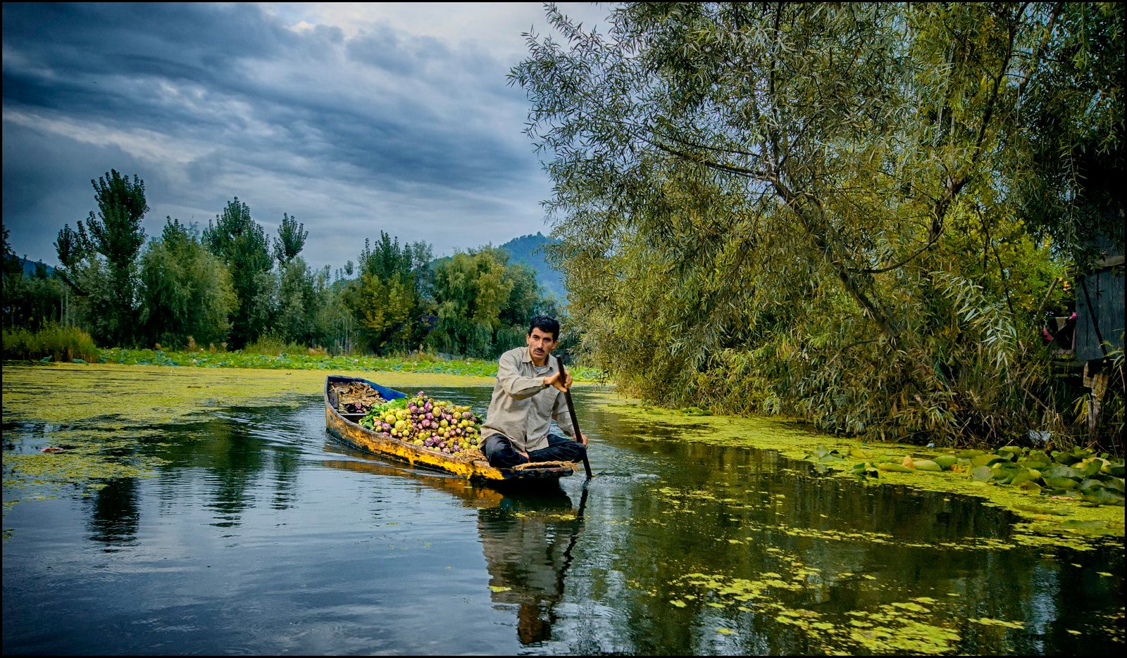 Man rowing a boat full of apples on lake.