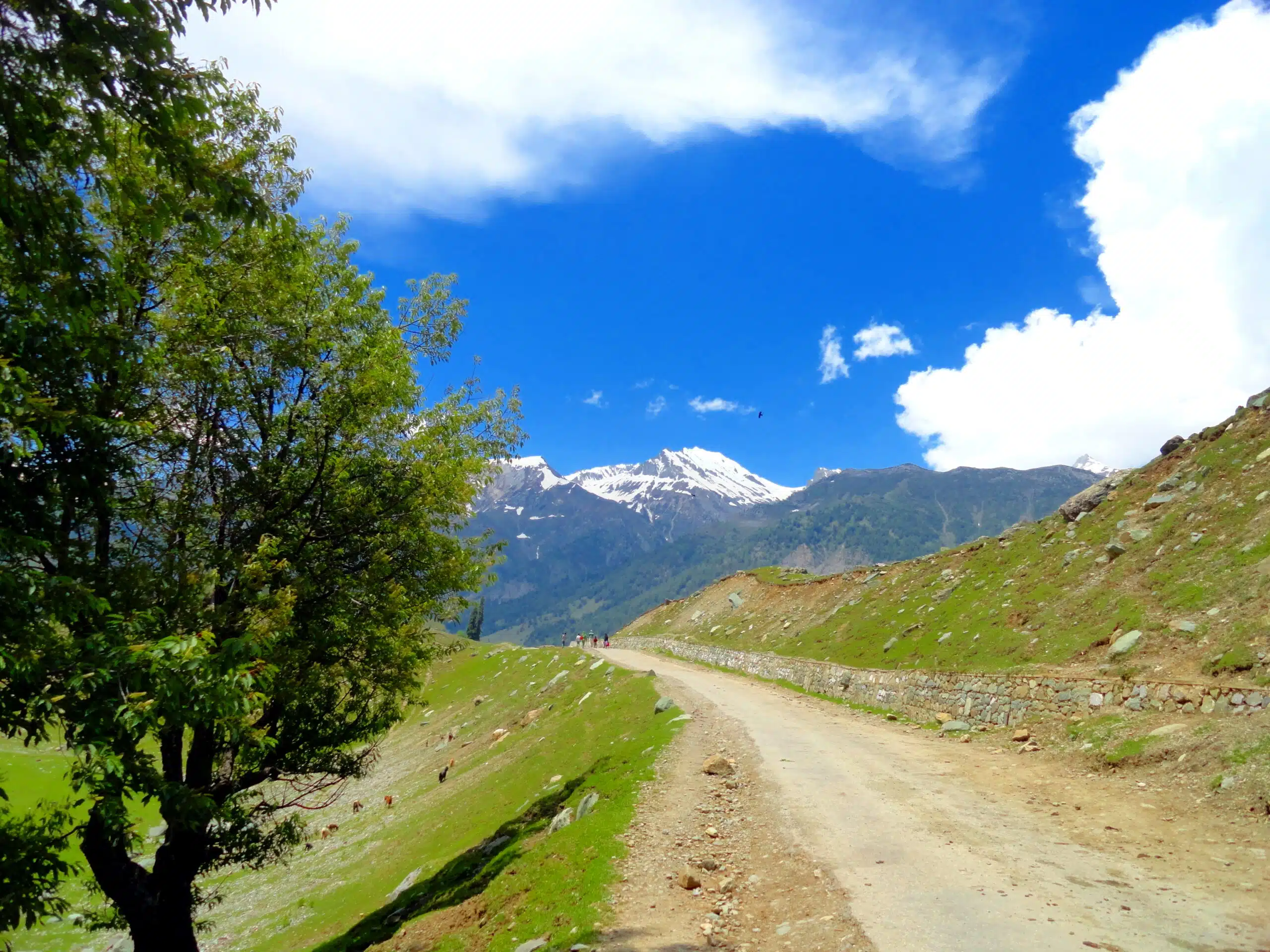 sonmarg