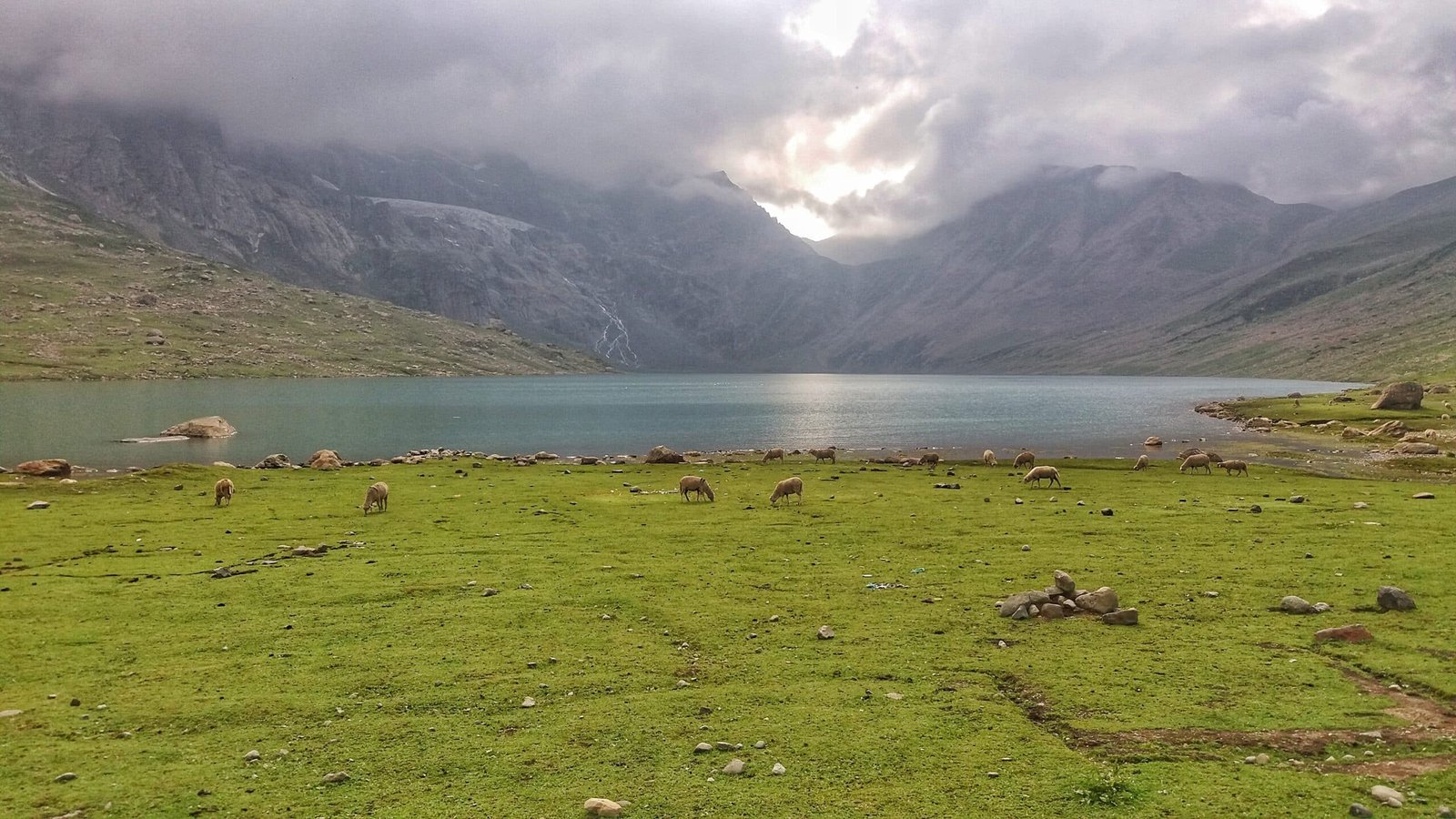 Sheeps were grassing near the KGL