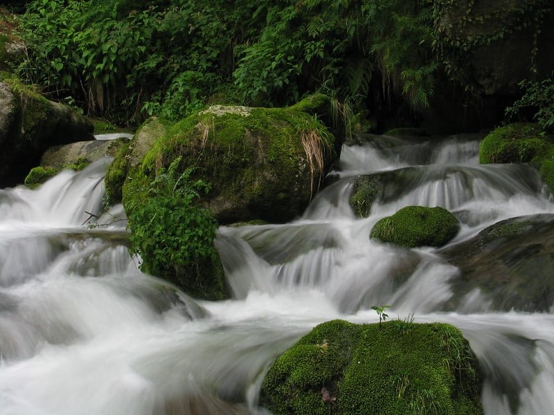 Kokernag
