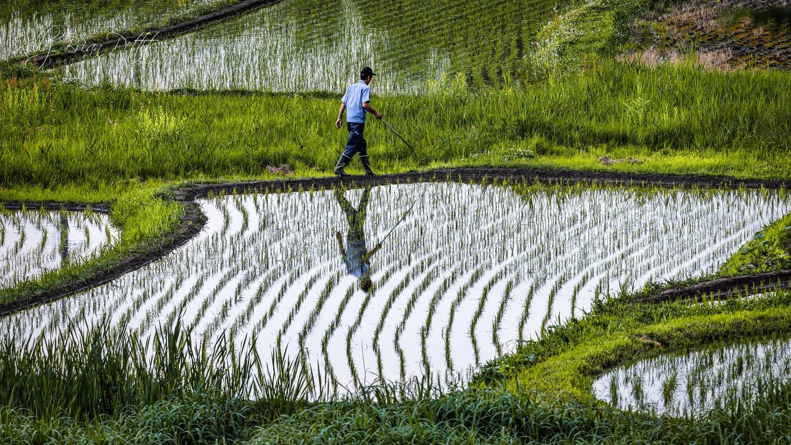 Agriculture fields in Teetwal
