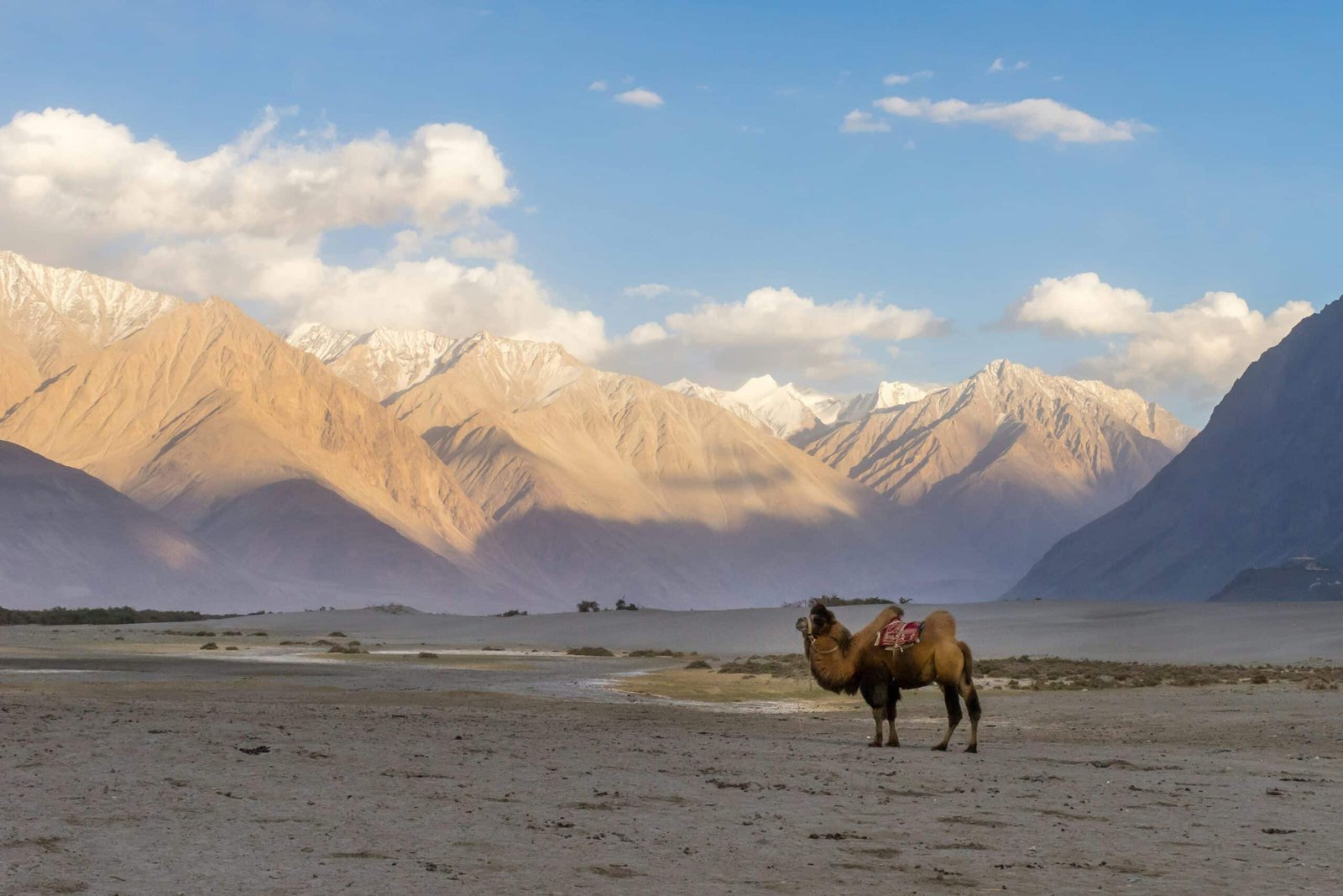 Ladakh in february