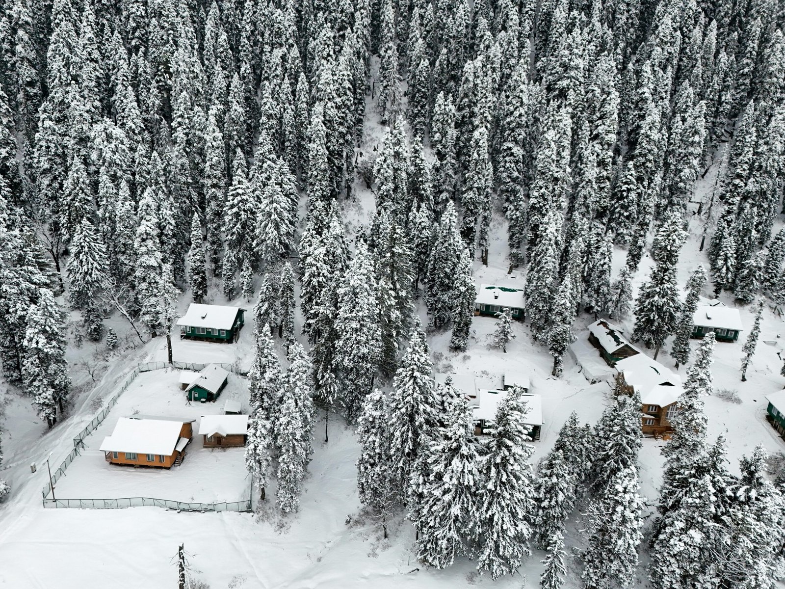 Kashmir