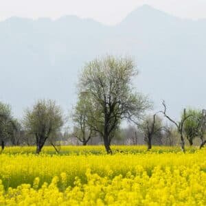 Kashmir itinerary