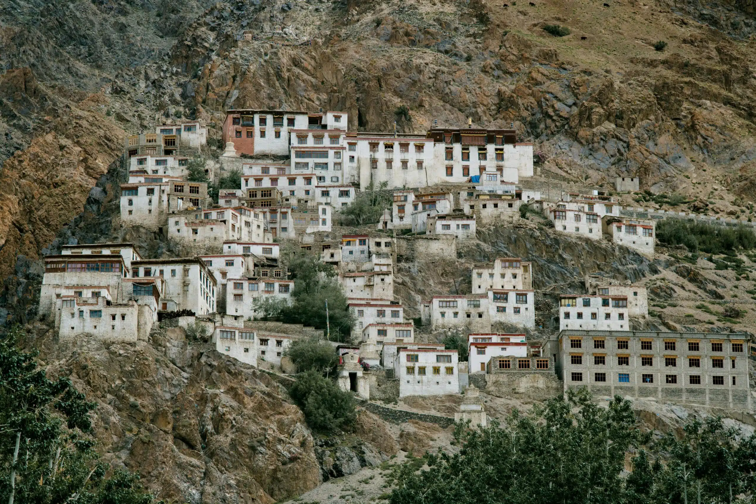 Ladakh in july