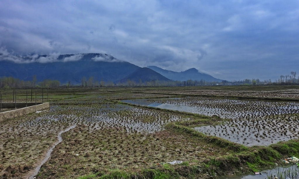 Lolab Valley