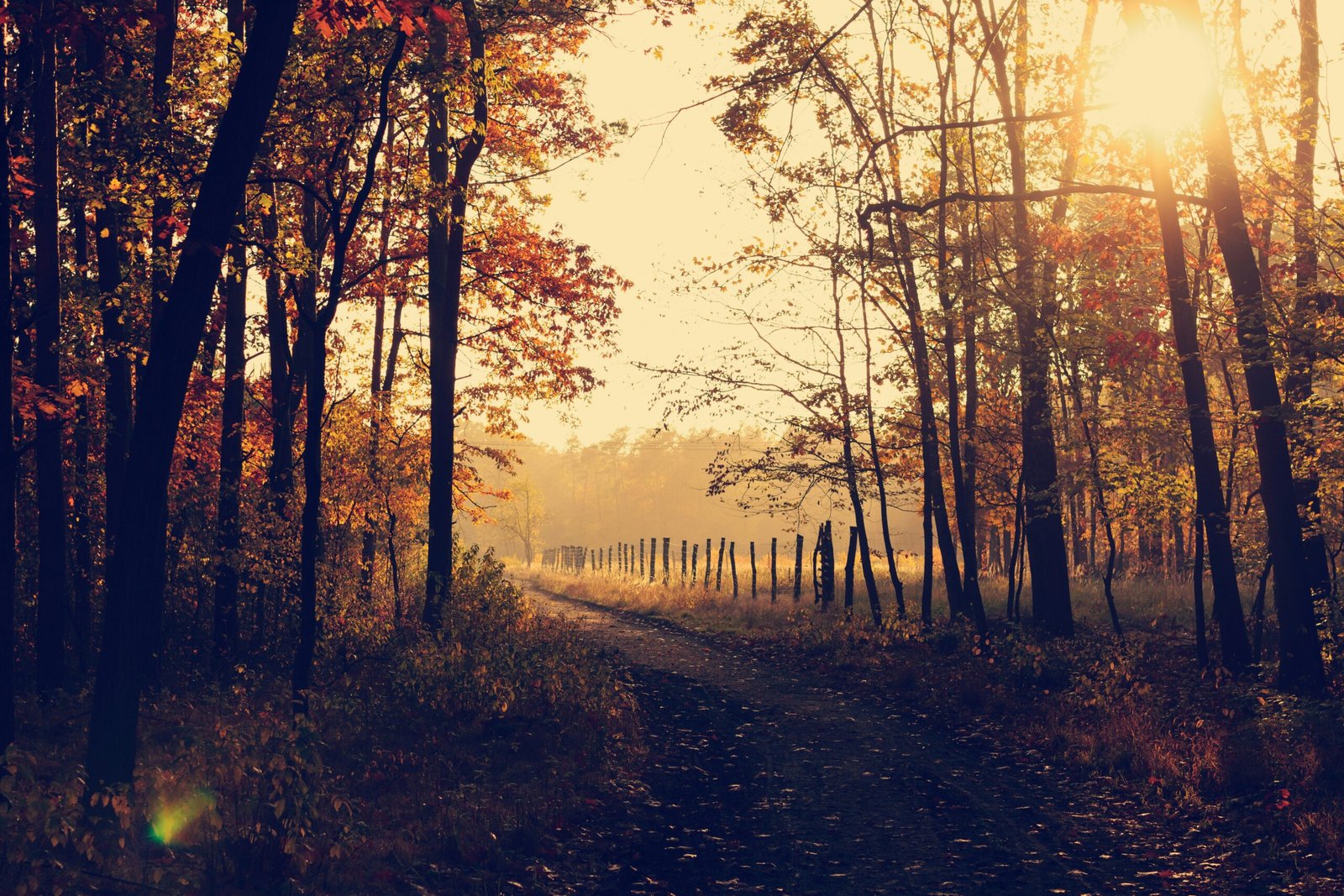 srinagar in autumn