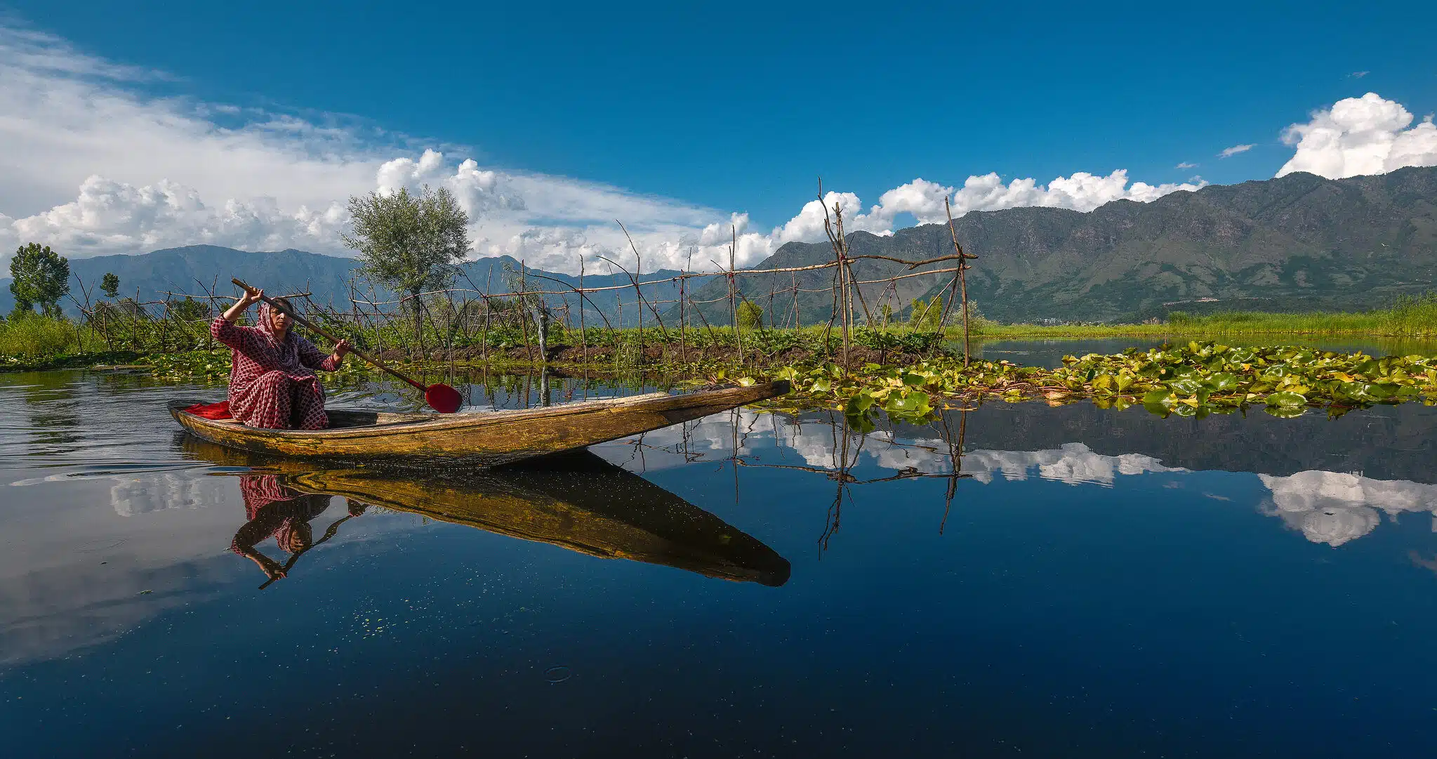 Dal lake