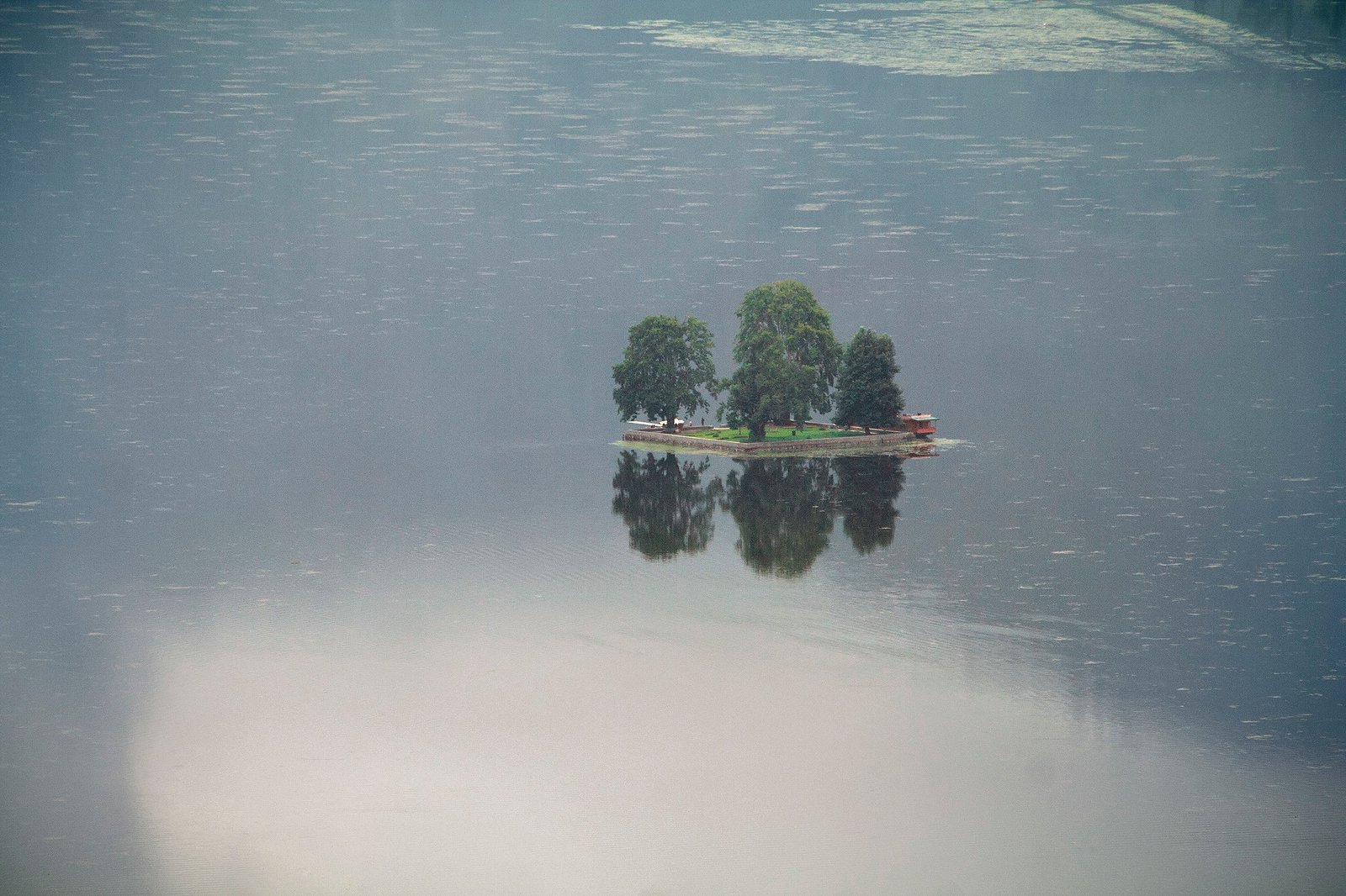 Char Chinar