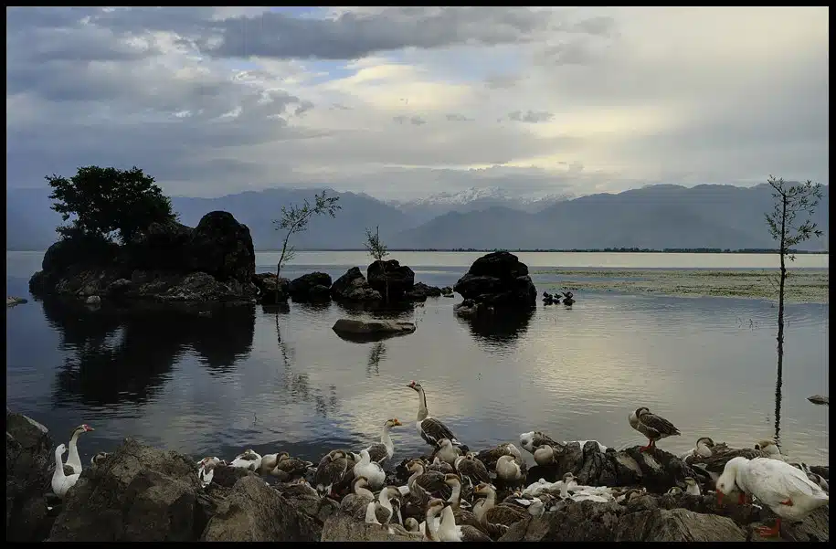 Wular Lake | A Famous Lake in Jammu & Kashmir