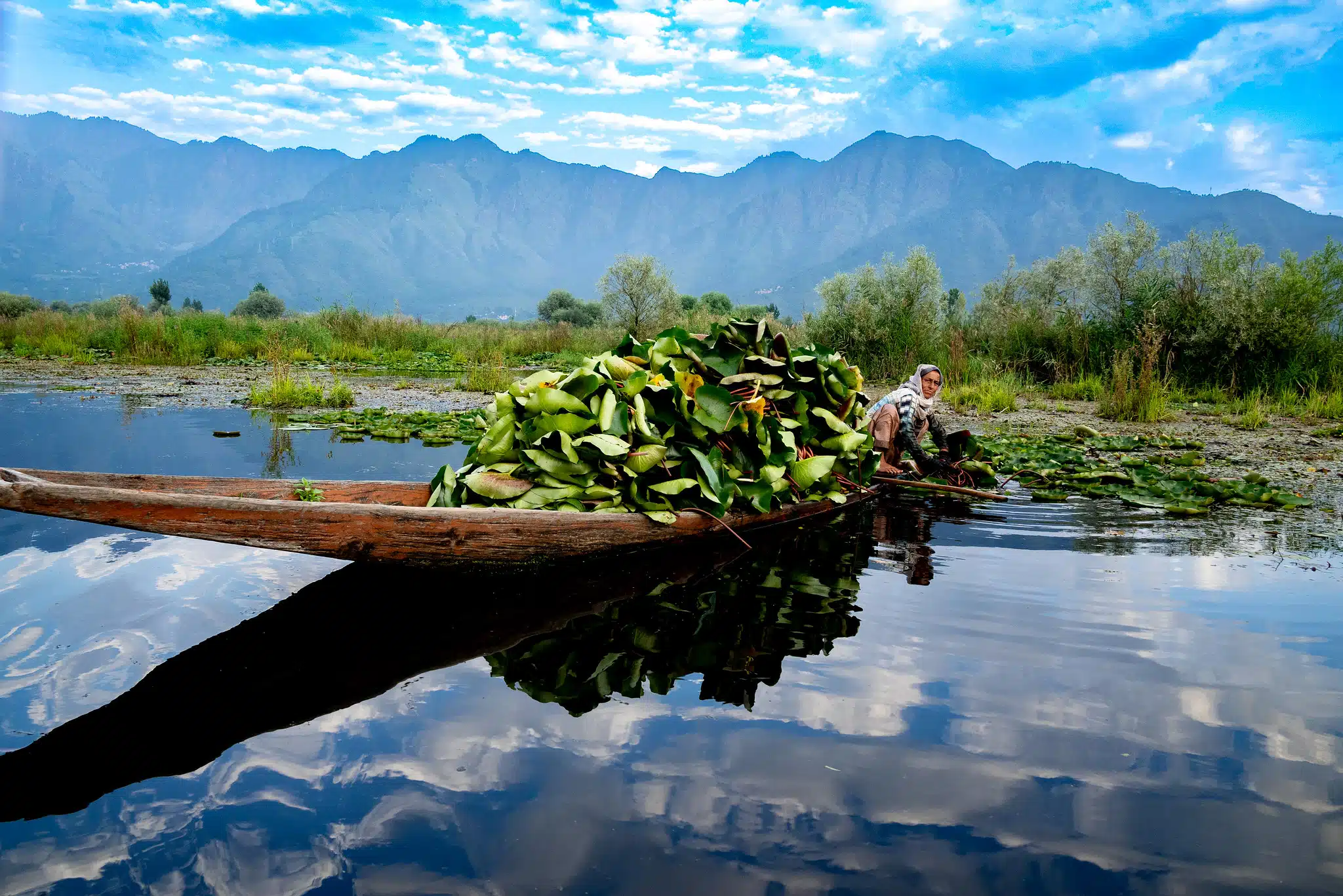 walk around dal lake