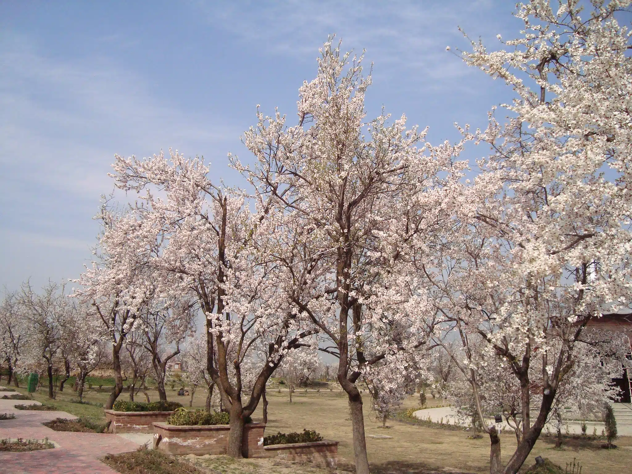 Badamwari garden