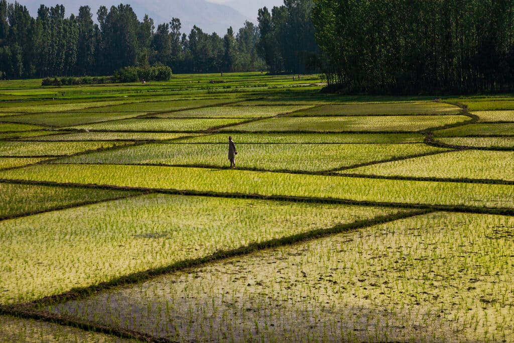 Anantnag to Pahalgam Taxi Fare | Best Time, Routes, Itinerary