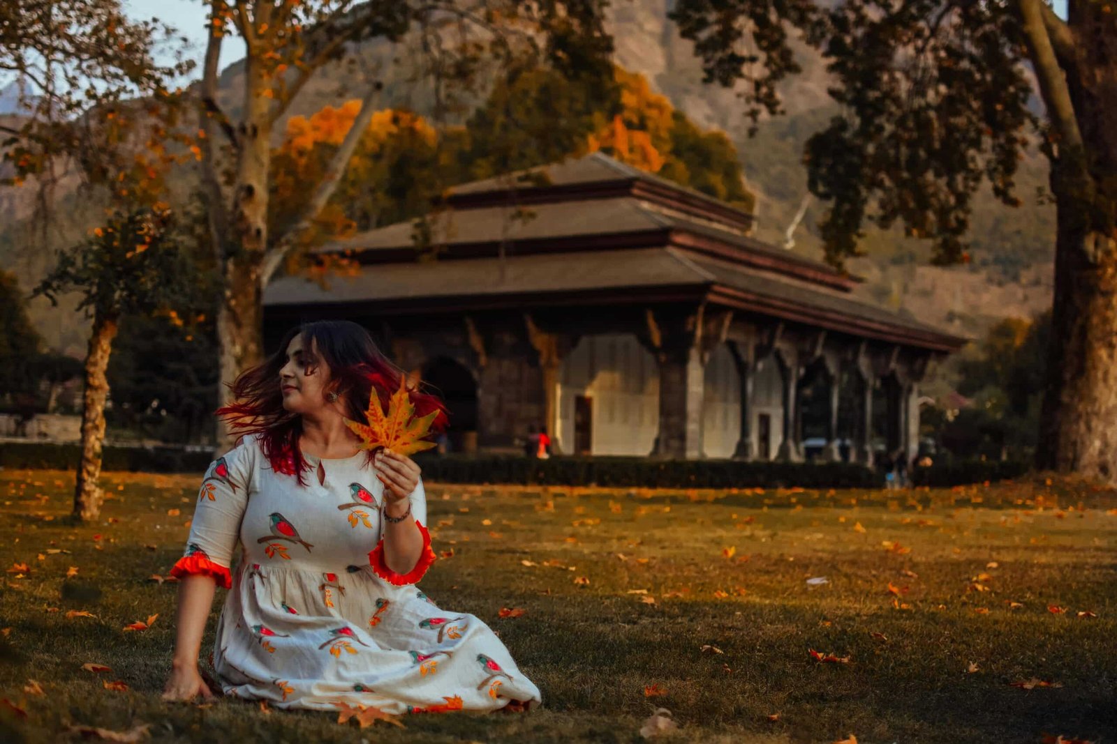 Kashmir in october