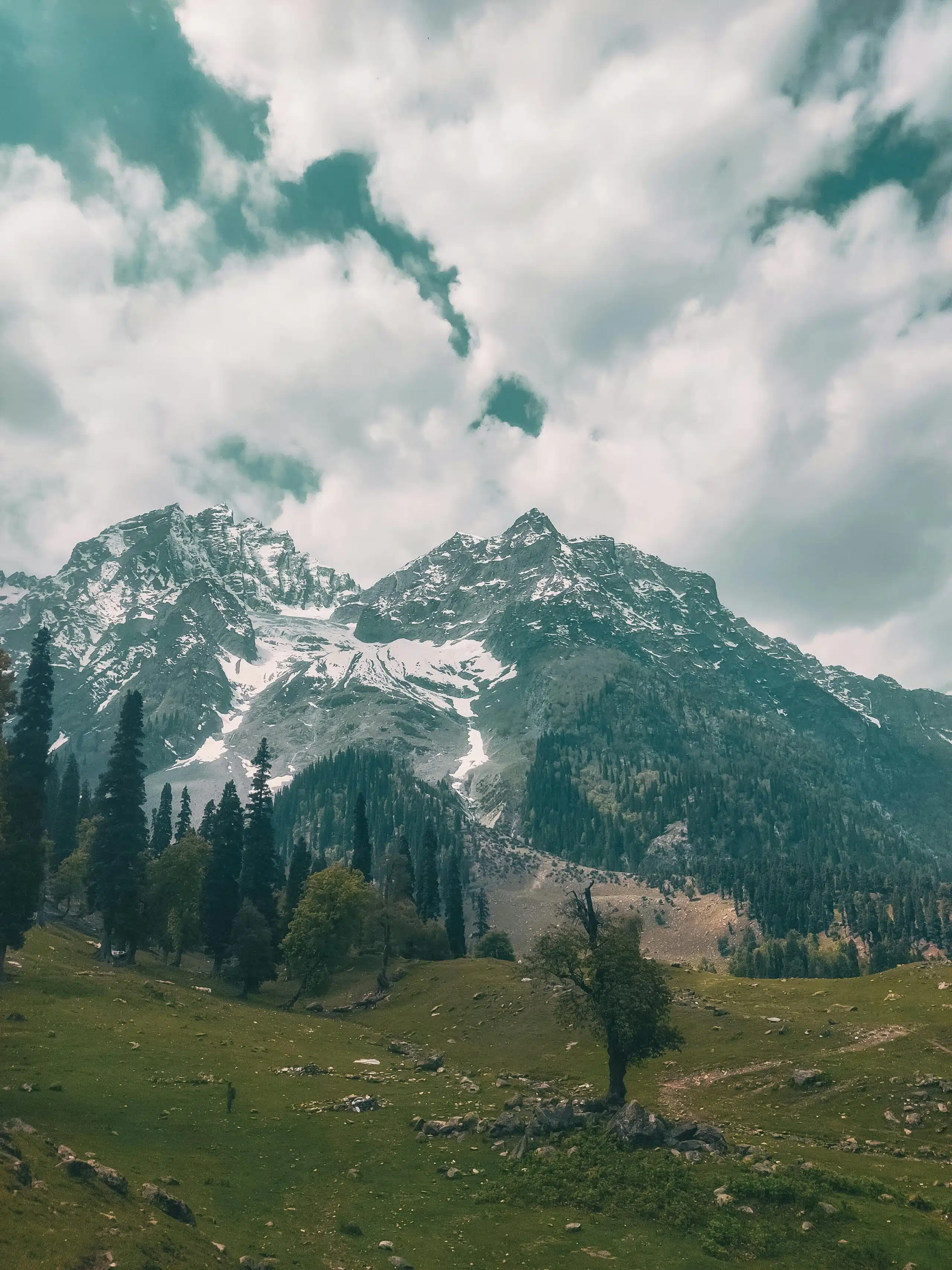 srinagar to sonmarg taxi fare