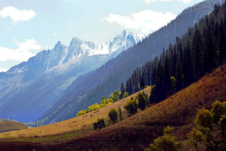 Sonmarg in October: Starting of the Autumn Season