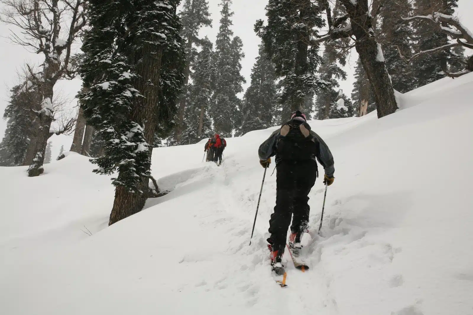 skiing in gulmarg