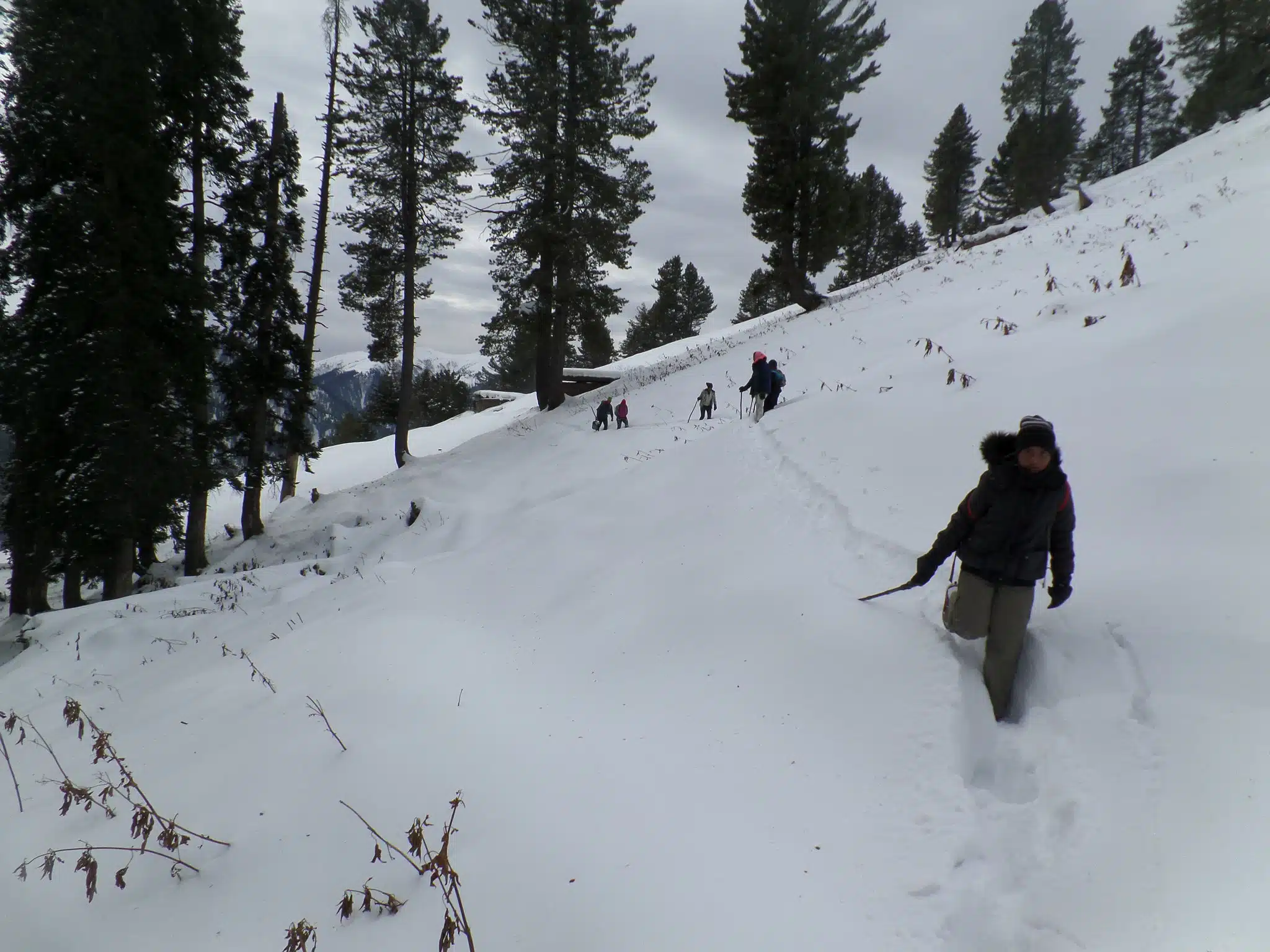 Snow trekking