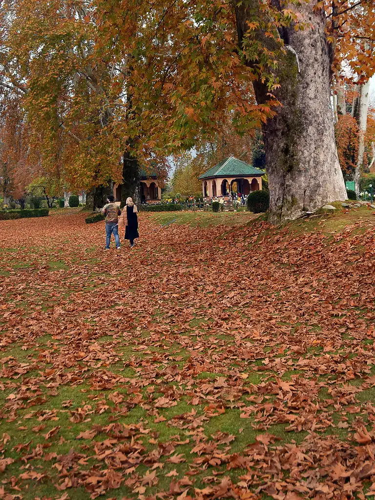 kashmir university campus