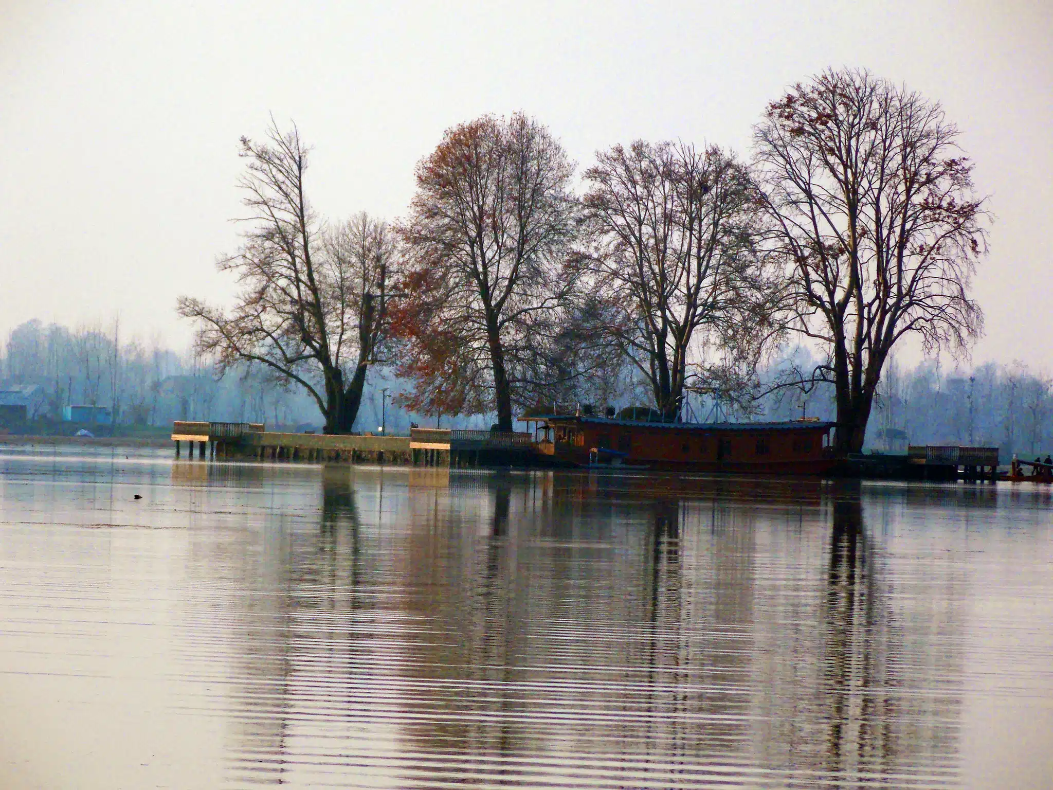 char chinar