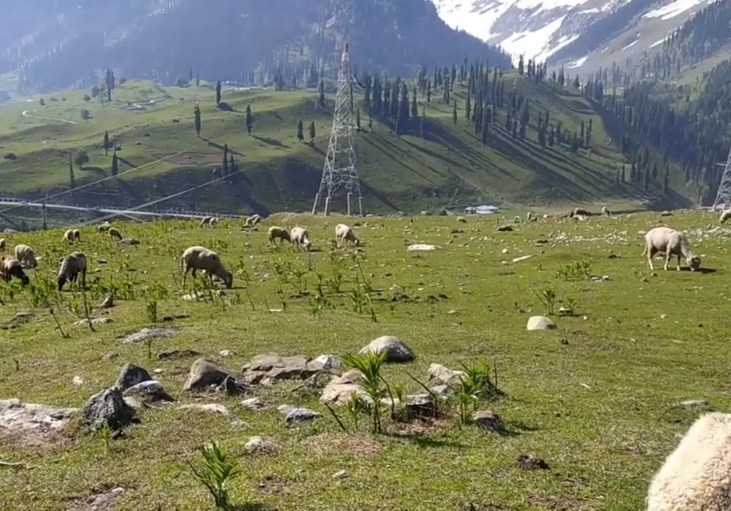 Table top Sonamarg