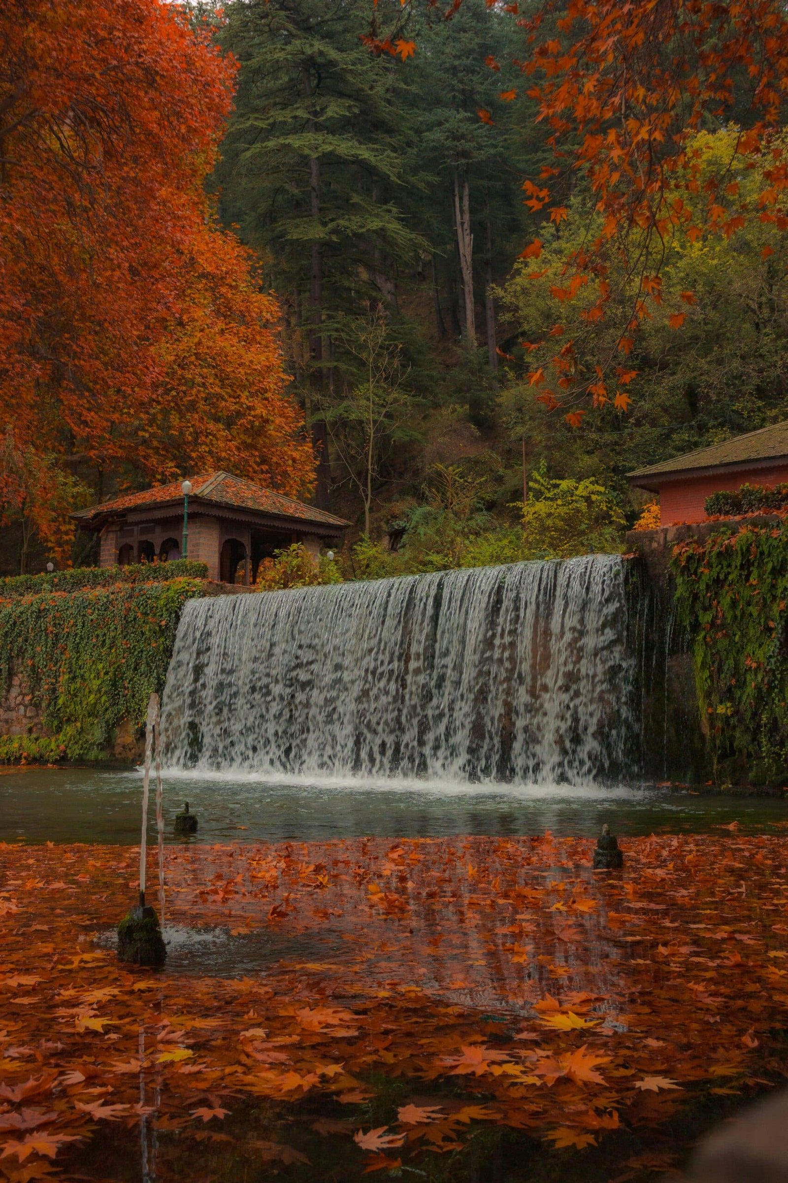 Autumn waterfall in Kashmir with fallen leaves