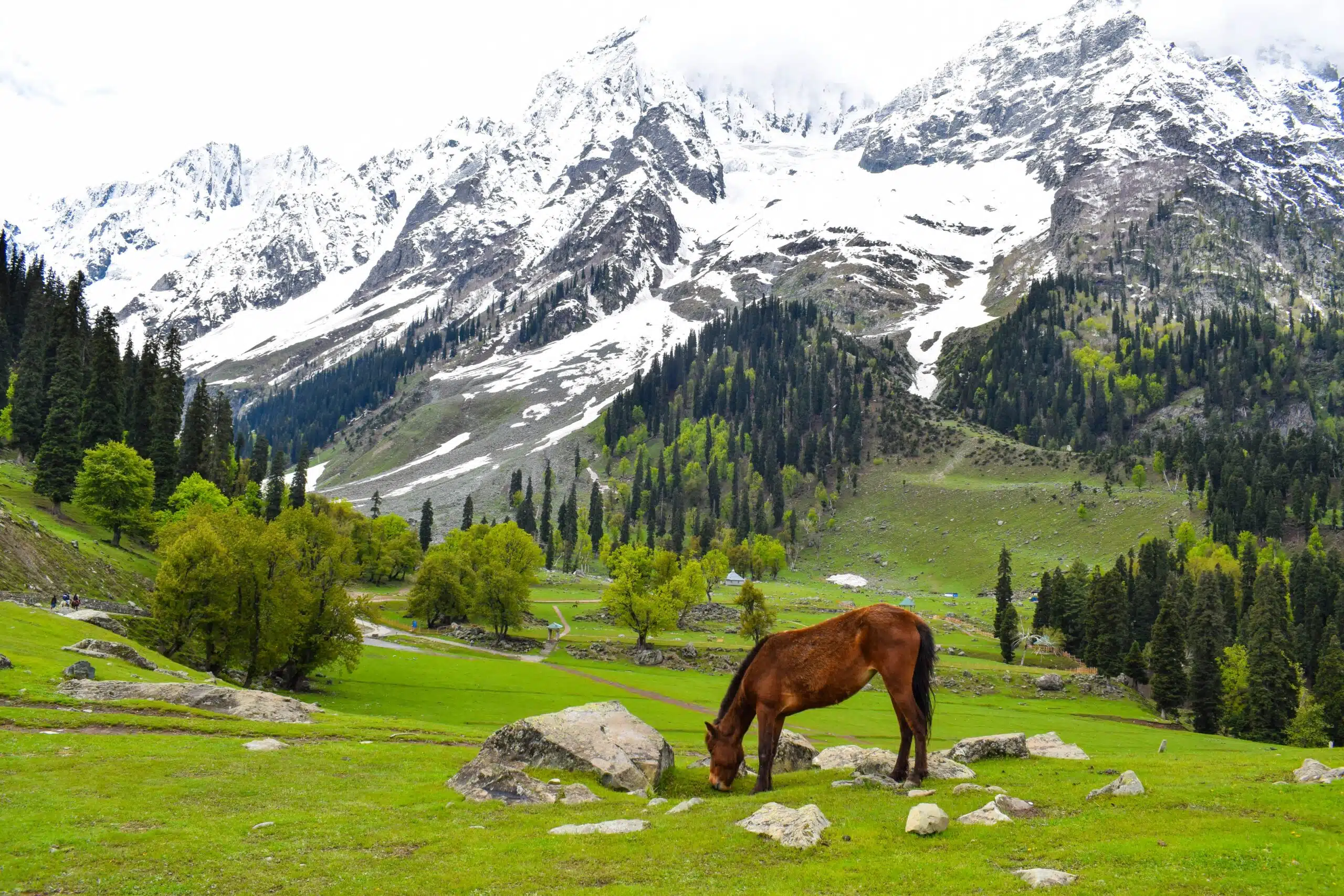 sonmarg