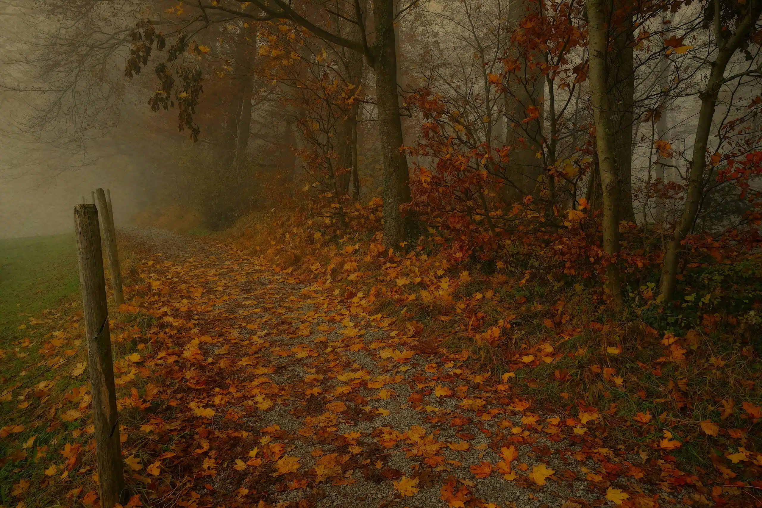 Kashmir in november