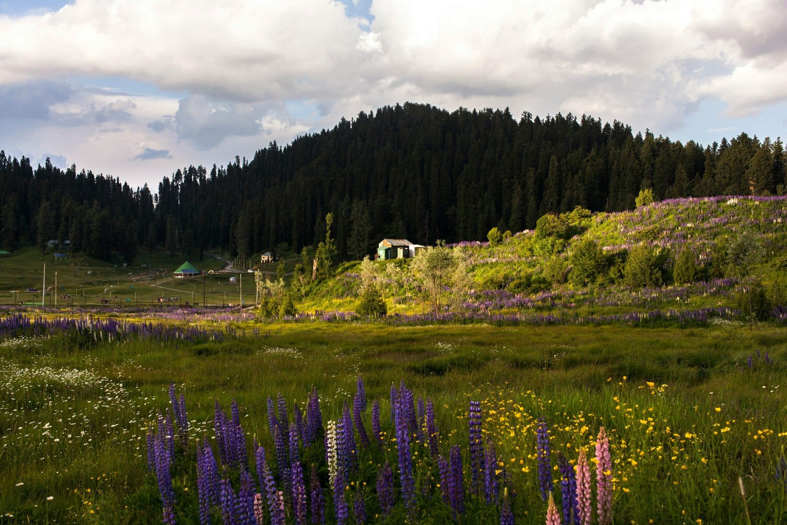 Gulmarg in October: Welcome the Autumn