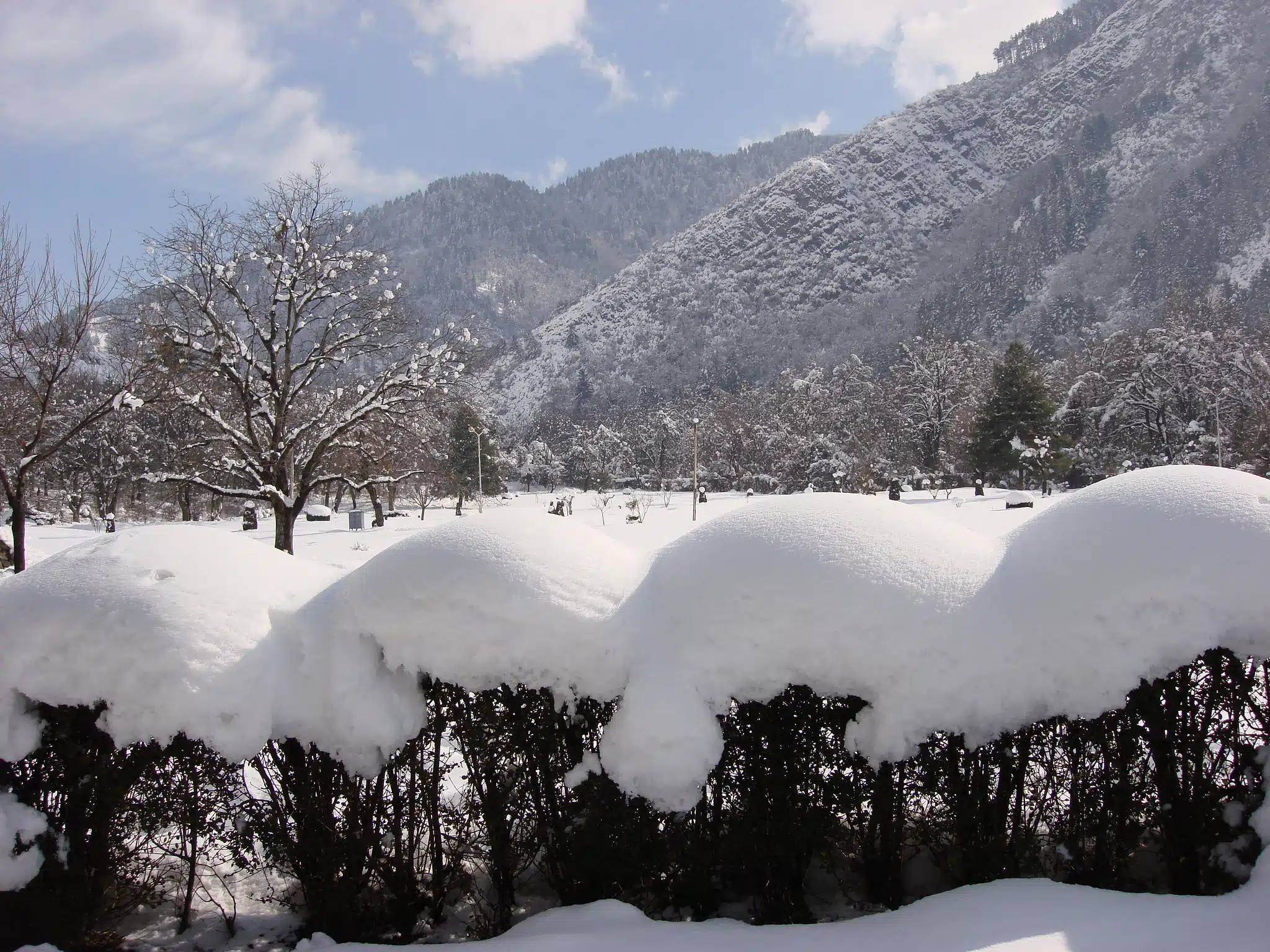 dachigam national park