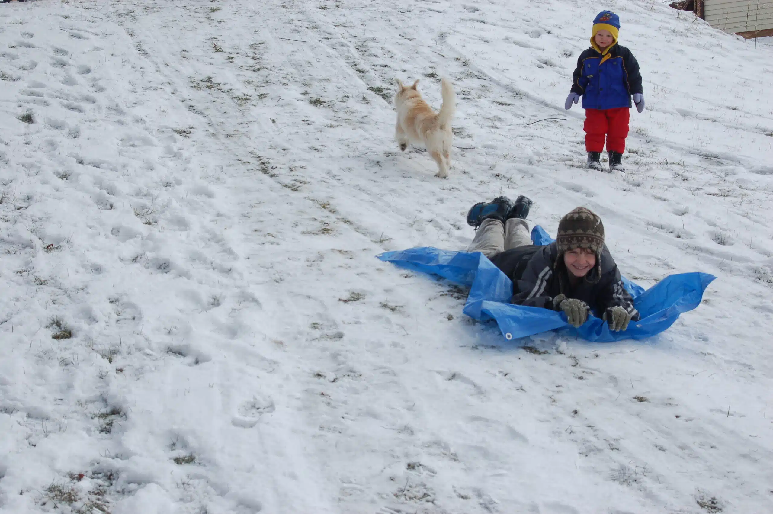 Sledding