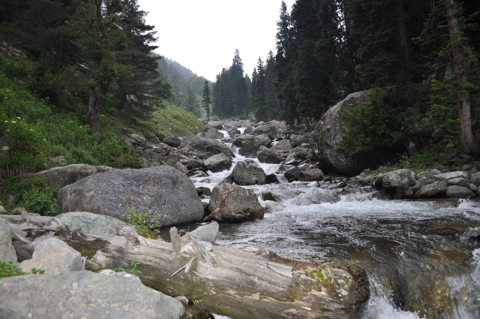 Bandipora Town