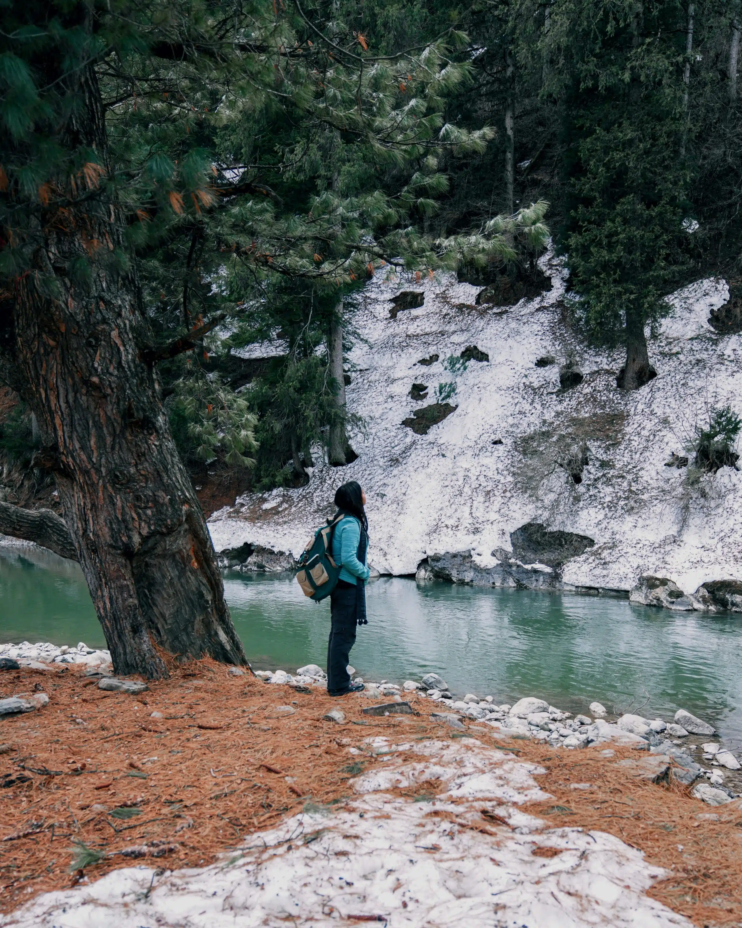 pahalgam in january